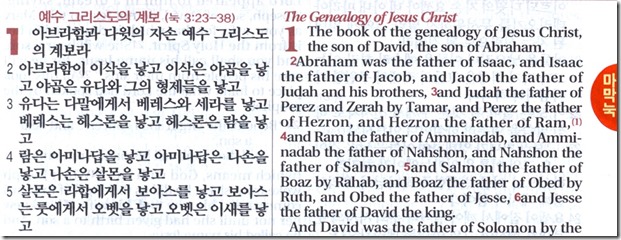 exmple_of_ESV-KoreanEnglish