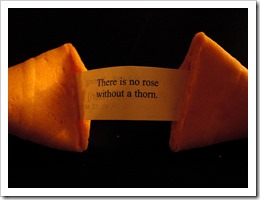 fortune cookie