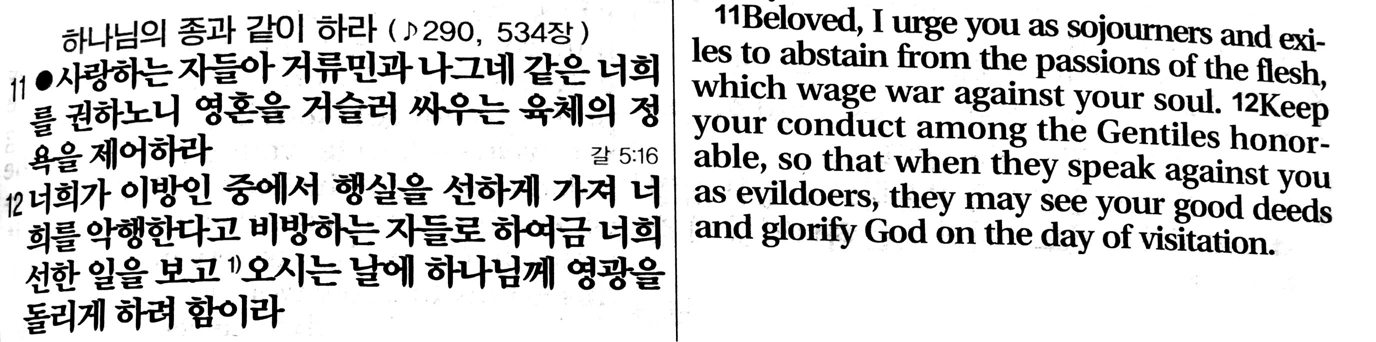 사진 2015. 2. 27. 오전 11 08 33