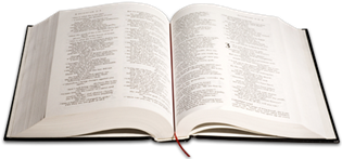bible3